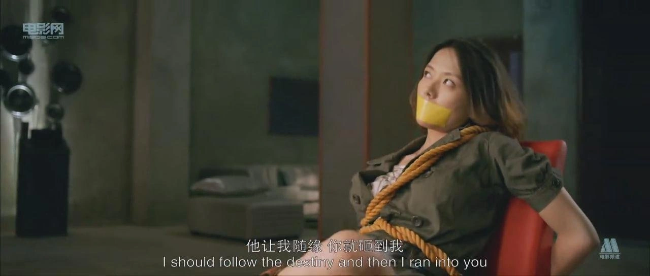 杨乐乐