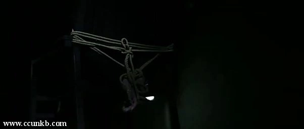 王蕊