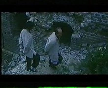 刘薇
