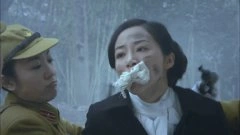 韩雪