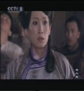 女人花（电视剧）