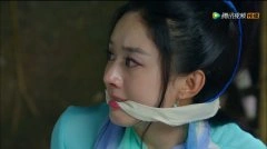 赵丽颖