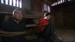 刘涛