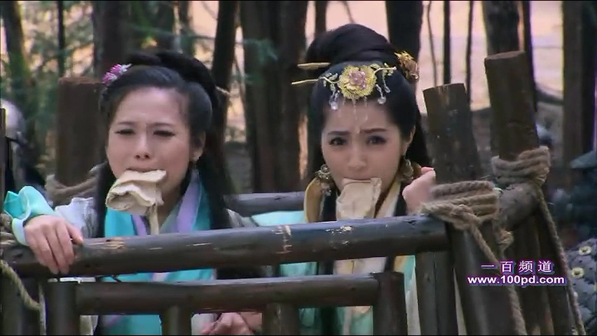 邓紫衣,麦迪娜