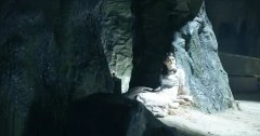 丁香紫