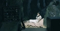 丁香紫