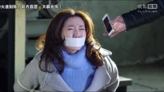 高露