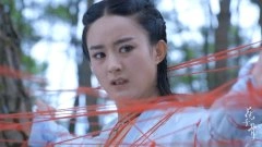 赵丽颖