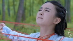 赵丽颖
