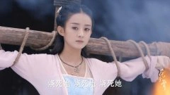 赵丽颖