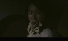 赵子惠