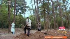 袁姗姗