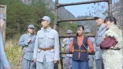 杨舒