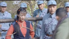 杨舒