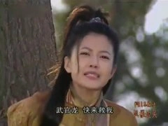 高圆圆
