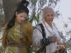 高圆圆