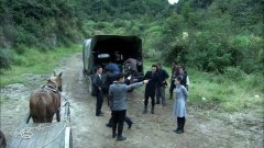 江铠同