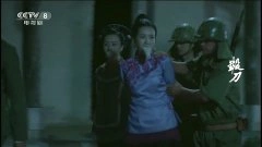王鸥,潘晓莉
