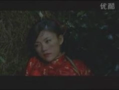 聂鑫*