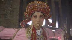 郑爽