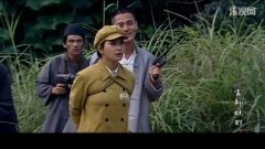 谢莹