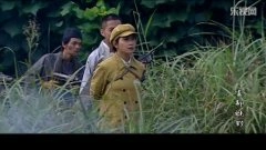 谢莹