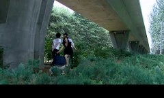 赵子琪