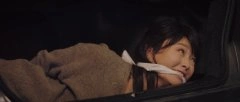 韦依