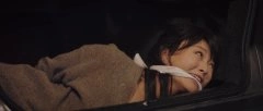 韦依