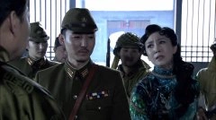 柳杨