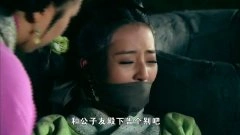 秦雪