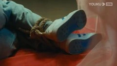 刘涛
