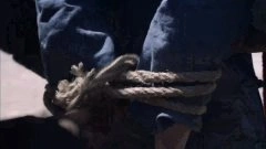 曾淇