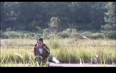 周楚楚