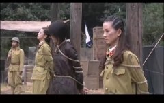 王珂,邹涵虹,高斯