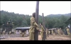 蒲冰墨,高斯