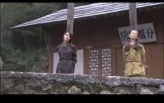 邹涵虹,高斯