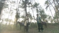陈紫函