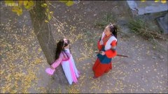 种丹妮