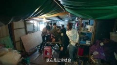 阿丽亚