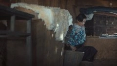张雅玫