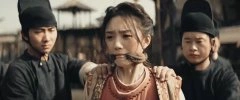 高维蔓