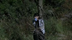杨净如