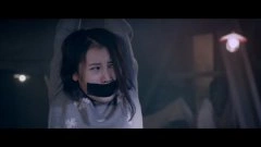 卢珊*