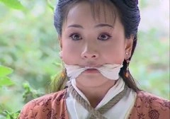 天涯追缉令