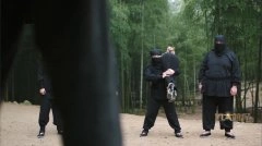 郭采洁
