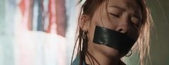 张灵彦*