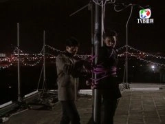 王菲