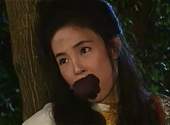 江淑娜