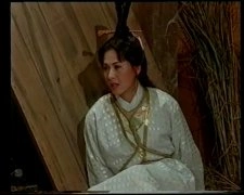 涂善妮